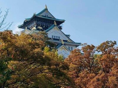 Ultimate Osaka Walking Tour(Osaka Castle, Shinsekai, Dotonbori)