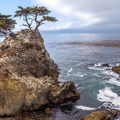 Monterey, Carmel, 17 Mile Drive, Bixby Bridge 6 hrs from Monterey