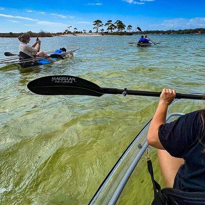 Clear Kayak Ecotour Destin Ft. Walton Beach