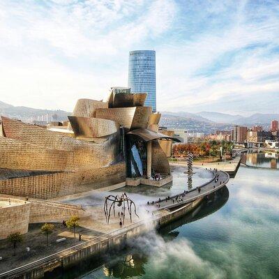 Guggenheim Bilbao Museum Private Tour