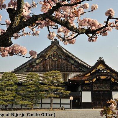 Kyoto & Nara Day Trip -Golden Pavilion & Todaiji from Kyoto/Osaka