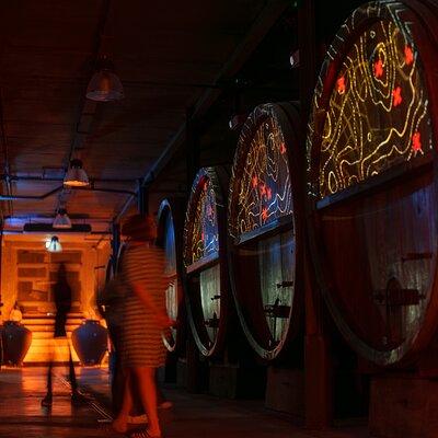 Wine tasting and immersive cellar tour