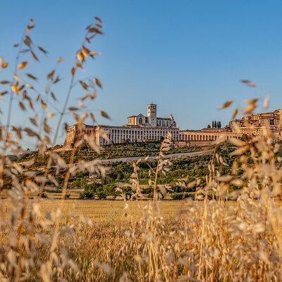 Assisi on the Footsteps of St. Francis and Carlo Acutis 