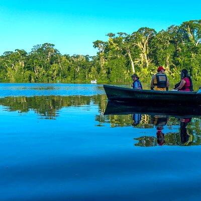 Tortuguero: Canoe tour + Night Jungle or Spawn Turtle 