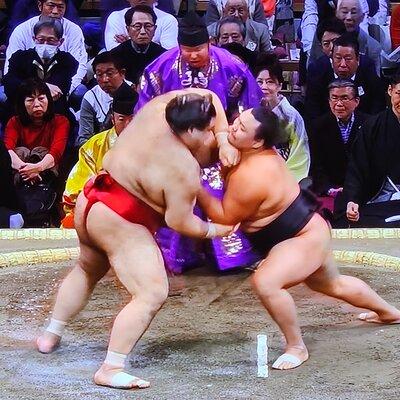 Nagoya Grand Sumo Tournament and Nagoya Castle 
