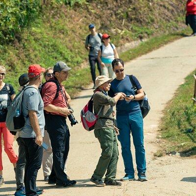 Experience Full Day Tour Sapa Trekking With Local Guide