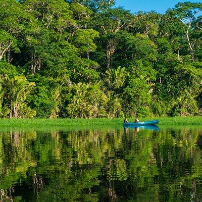 Tortuguero: Canoe tour, day hike, hill tour, night tour or spawning