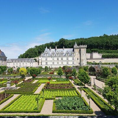 Loire Valley Day from Amboise : Azay le Rideau, Villandry, Winery