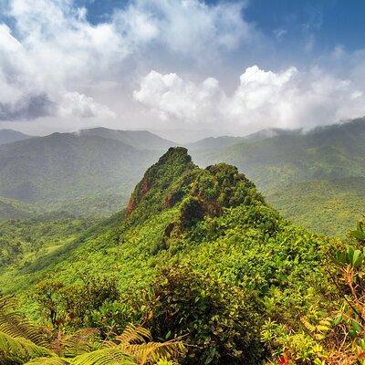 Half Day Adventure Private Tour in El Yunque Rainforest