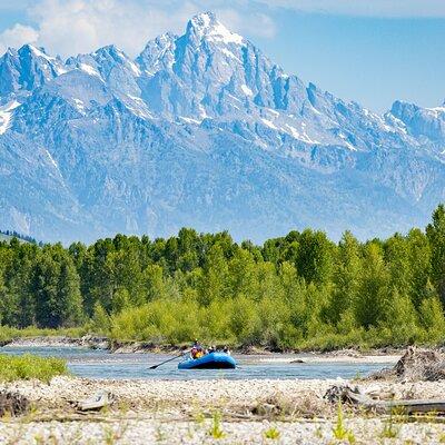 Scenic Wildlife Float in Jackson Hole