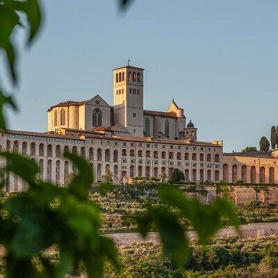 Assisi, City Highlights and Basilica of St. Francis tour