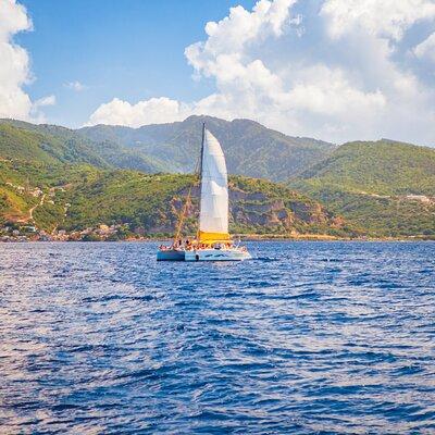 Diving and Snorkeling Catamaran Private Tour in Martinique