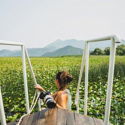 From Virpazar: Guided Lake Skadar cruise and Crnojevića River