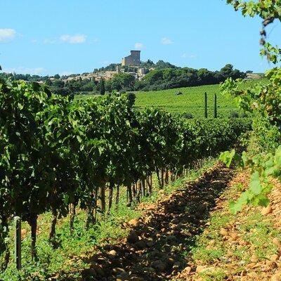 8 Hours Private Wine Tour in Châteauneuf du Pape