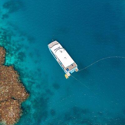 Great Barrier Reef and MOUA Snorkeling Day Tour from Townsville