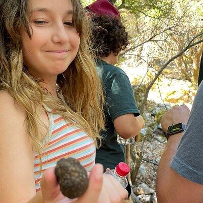 Truffle Hunting, Culinary & Wine Celebration from Elounda