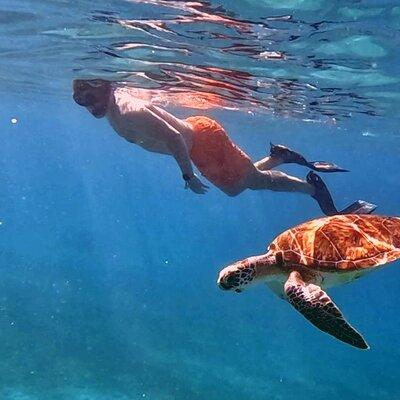 Private Turtle Spotting Snorkeling Excursion in Aruba 