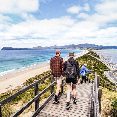 Bruny Island Food, Sightseeing, Guided Lighthouse Tour & Lunch 