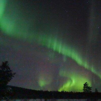 Northern Lights with Reindeer Sleigh Ride in Jukkasjärvi