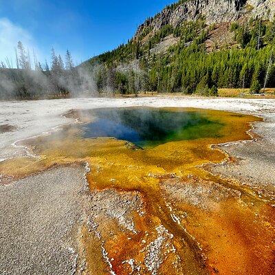 Yellowstone Lower Loop Full-Day Tour