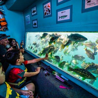 Glass Bottom Boat Ride in Redondo Beach