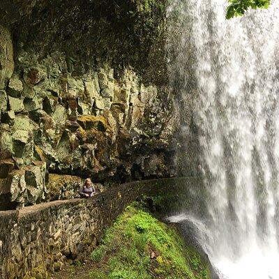 Silver Falls Waterfall Hiking Tour from Portland