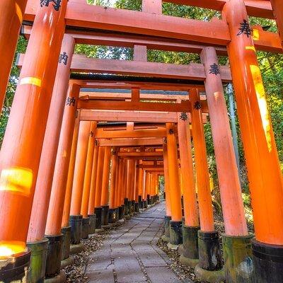 Full Day Guided Tour to Kyoto and Nara from Osaka by Van