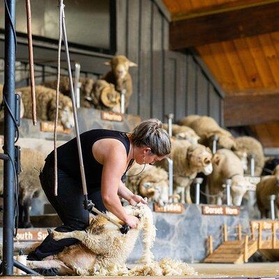 Agrodome Farm Experience including Farm Show and Farm Tour - Rotorua