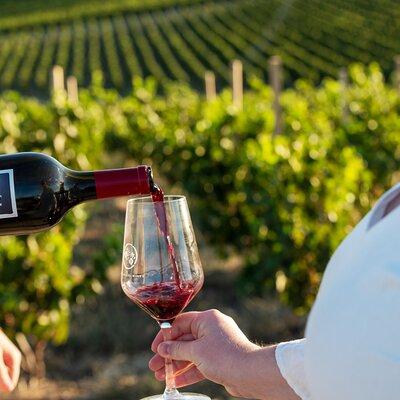 A Truly Barossan Wine Experience - High-End Private Day Tour 