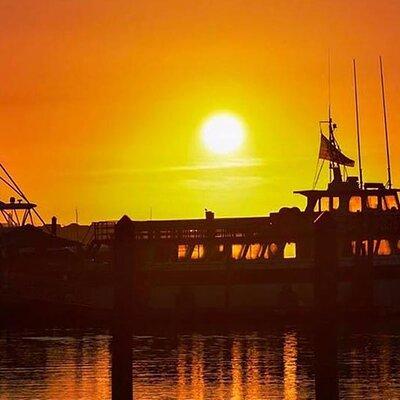 Myrtle Beach Sunset Dolphin Cruise Experience in Murrells Inlet