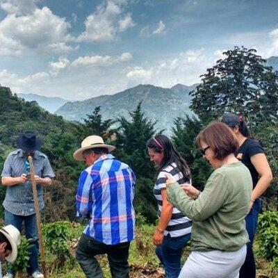 Half-Day Coffee Tour at Family Farm Close to Medellín