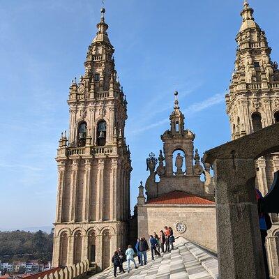 Visit to the Cathedral of Santiago with Roofs and Optional Portico