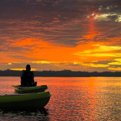 6 Hour Everglades Mangroves Kayak Tour