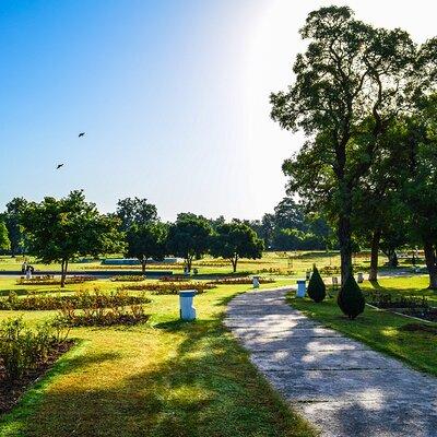 Nature Walk of Chandigarh( 2 Hours Walking Tour)