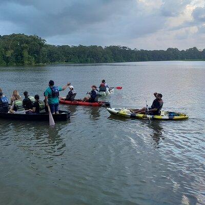 Canoe tour in Tortuguero National Park small group