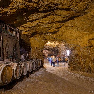 Afternoon Loire Valley Wine Tour from Tours or Amboise