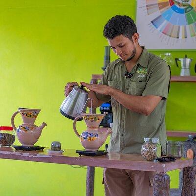 Craft Specialty Coffee and Chocolate Tour at North Fields, La Fortuna Costa Rica