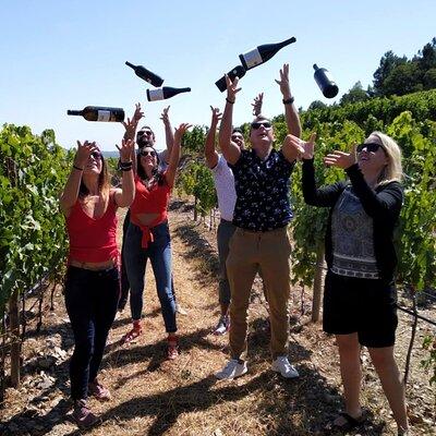 Douro Valley Small-Group Tour with Wine Tasting, Lunch and Boat