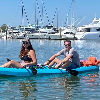 Dolphin, Manatee and SeaTurtle SUP Adventure Tour of St Augustine