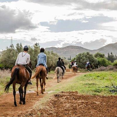 Private Horseback Ride at Sunset in Hammamet