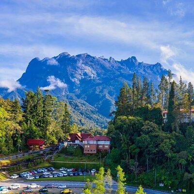 Private Desa Dairy Farm, Kinabalu National Park, Hot Spring & Canopy Walk Tour