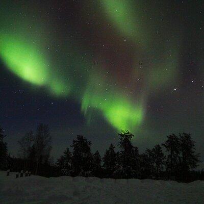 Yellowknife Aurora Hunting Tours by Bus