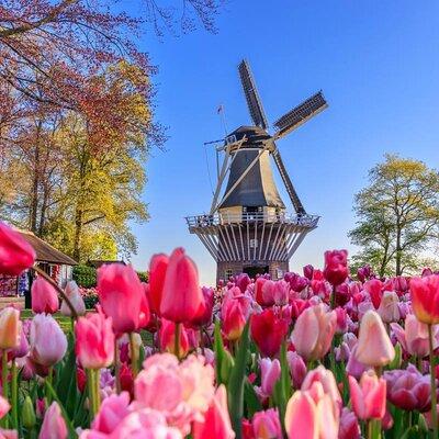 Keukenhof and Zaanse Schans Windmills Day Trip from Amsterdam