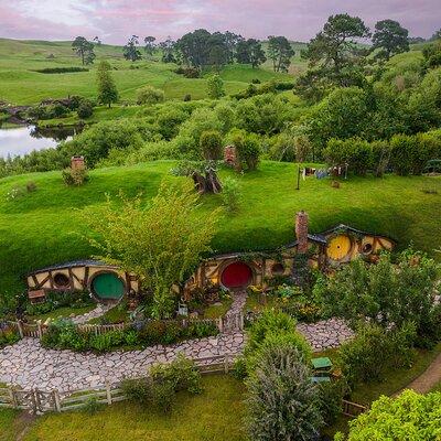 Hobbiton & Waitomo Caves Guided Day Trip from Auckland incl lunch