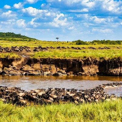 3days/2nights group joining Masai Mara with Masai Village Visit