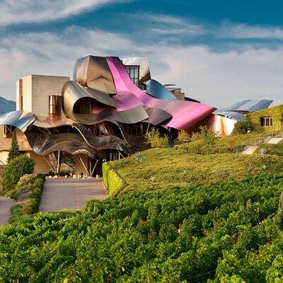 Visit Marques de Riscal & Picnic in Vineyard from Bilbao