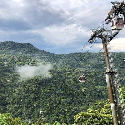 Pinglin Tea Culture & Maokong Day Tour from Taipei