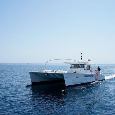 Bay trip in Calpe or Altea with a sailing catamaran