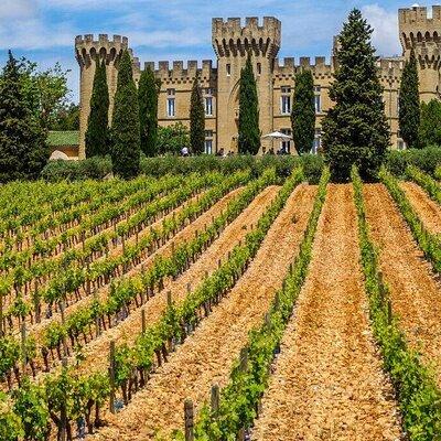  Châteauneuf du Pape Wine Private Tasting Tour From Marseille