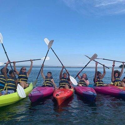 Cape Cod Kayak Rentals in the Great Marsh